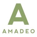 AMADEO - Inventor and manufacturer of high-end security products