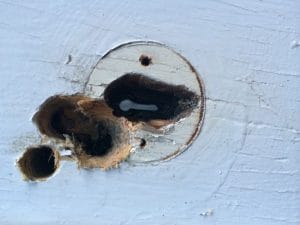 image of damaged wooden door