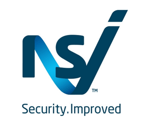 NSI Logo